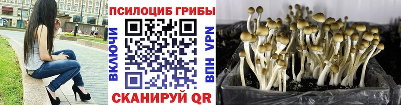 наркота  Безенчук  Псилоцибиновые грибы MAGIC MUSHROOMS 